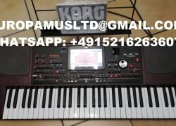 Korg PA-1000 edi